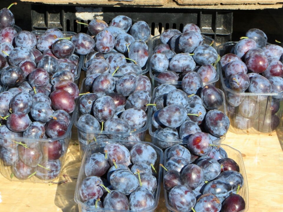 Plums market stall fruit