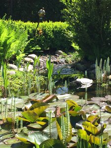 Spring green space wrate
