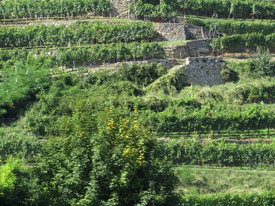 Danube valley wachau austria