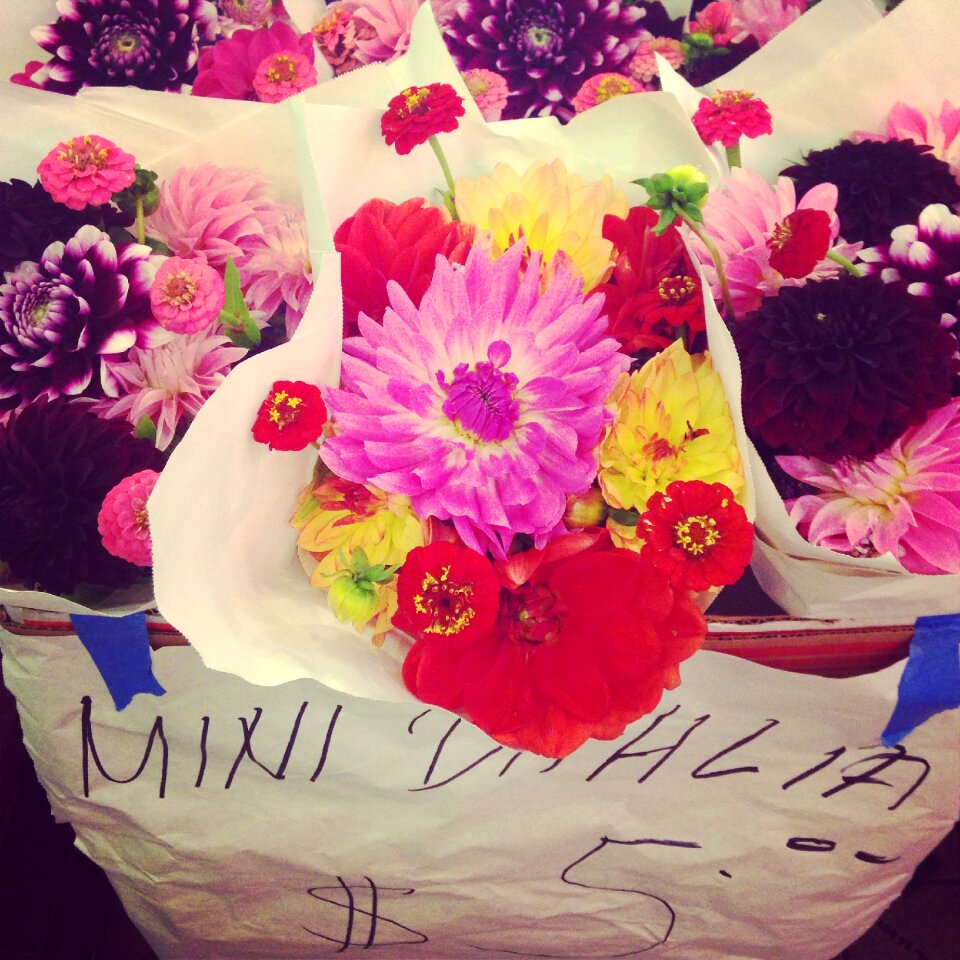 Floral business colorful