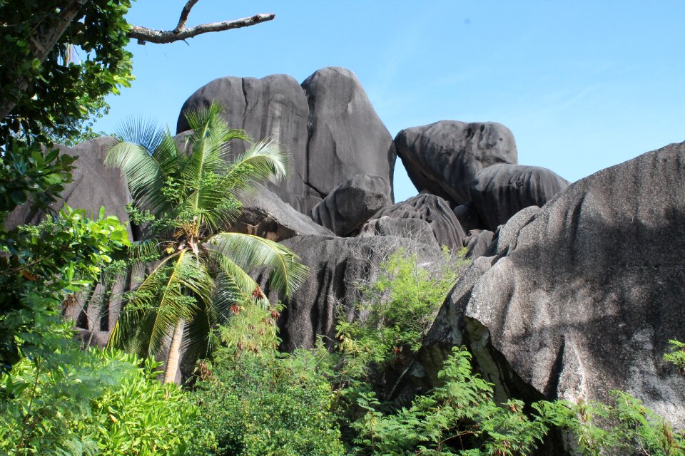 Seychelles cove money