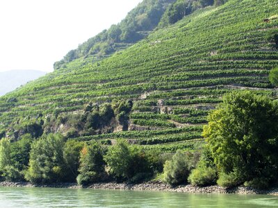 Danube valley wachau austria