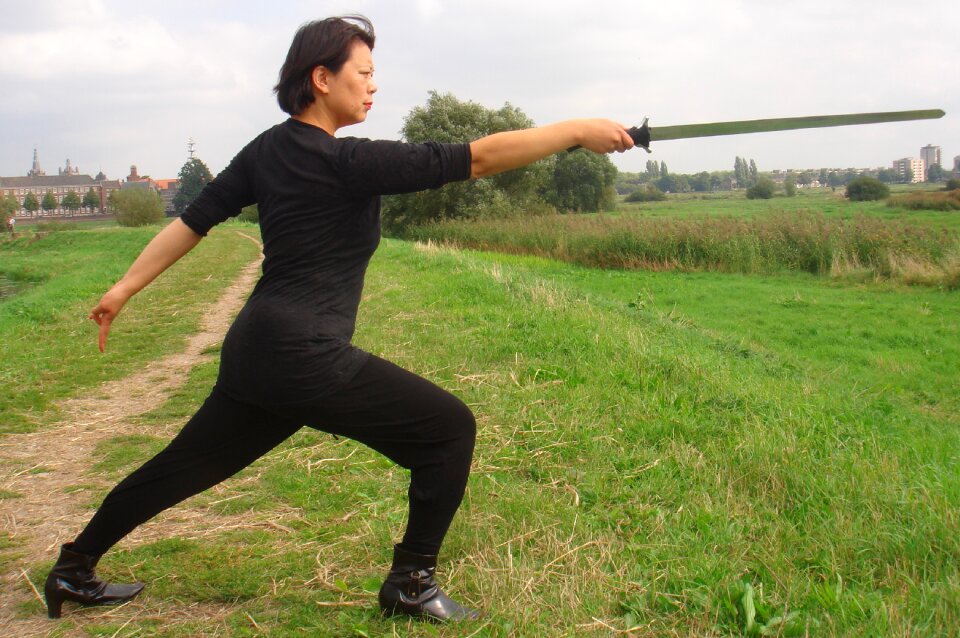 Shaolin kung fu swordplay pose