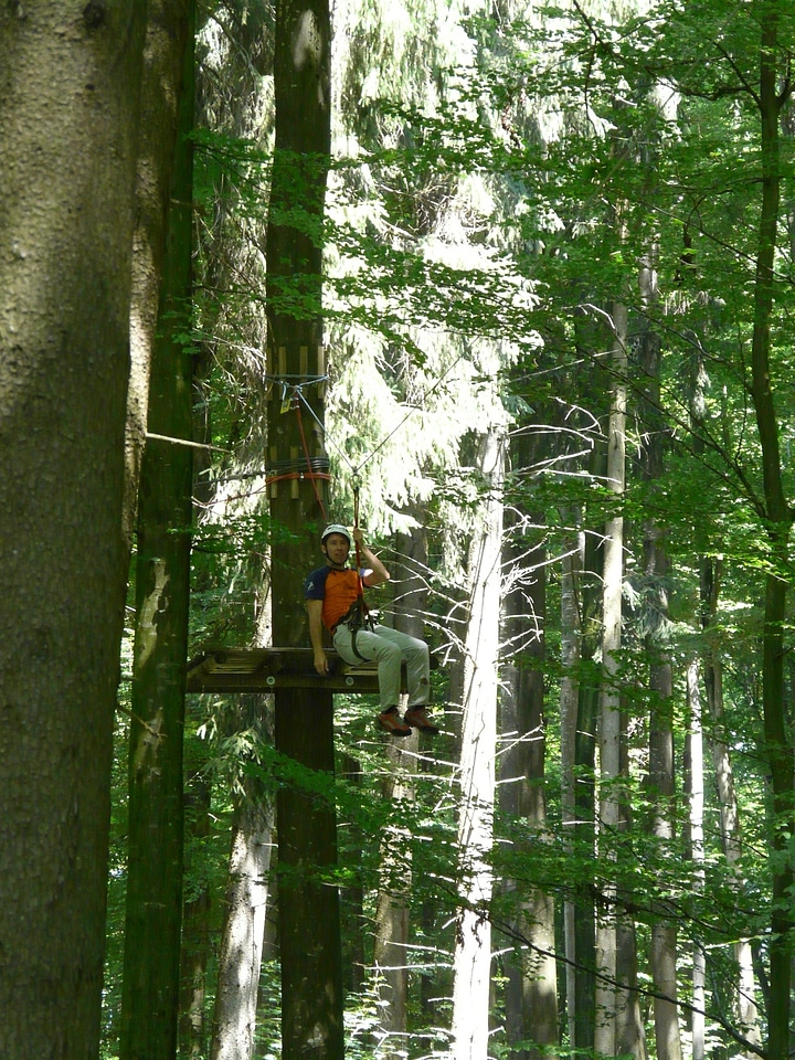 Climb drex forest ropes