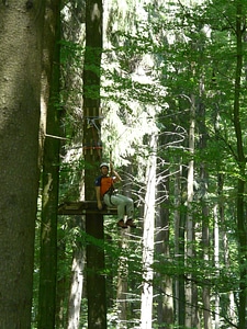 Climb drex forest ropes