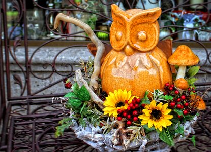 Owl painted decorative