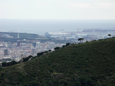 See landcape forest