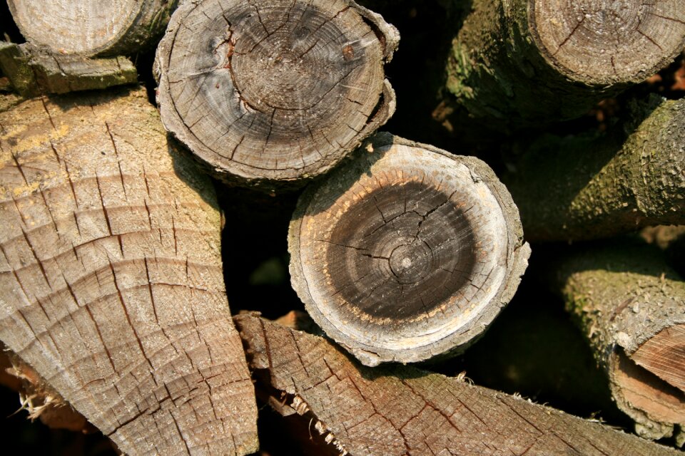 Combs thread cutting stacked up tree wood