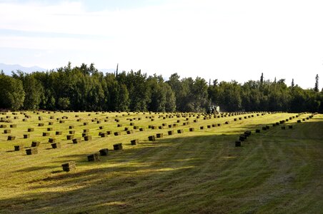 Tractor bale