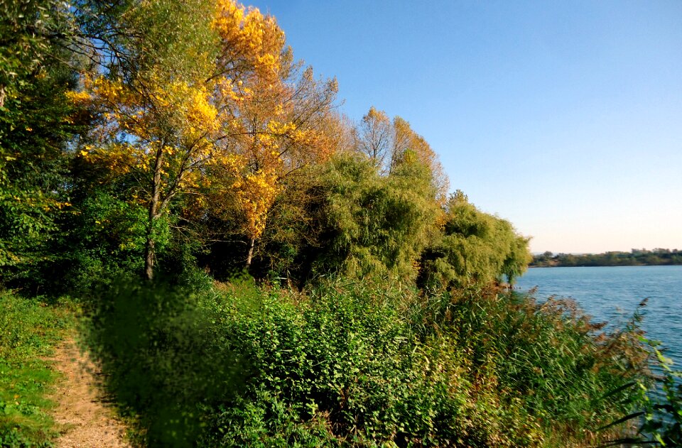 Water nature landscape