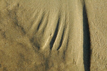 Nature sand background beach sand photo