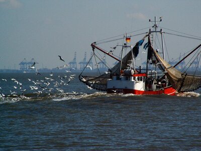 Shrimp fishing vessel ship