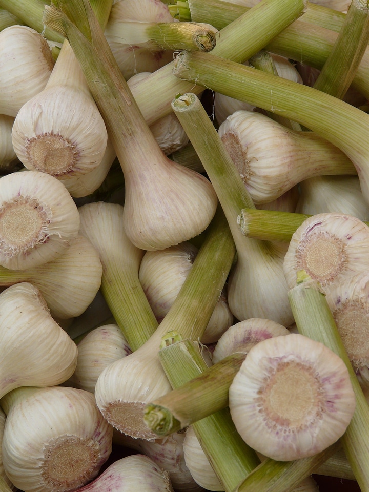 Tuber substantial smell