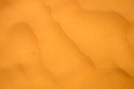 Desert sahara sand photo
