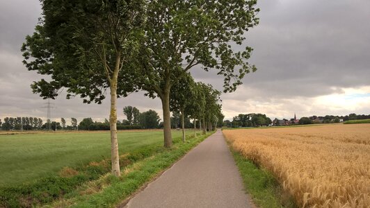 Forward clouds road