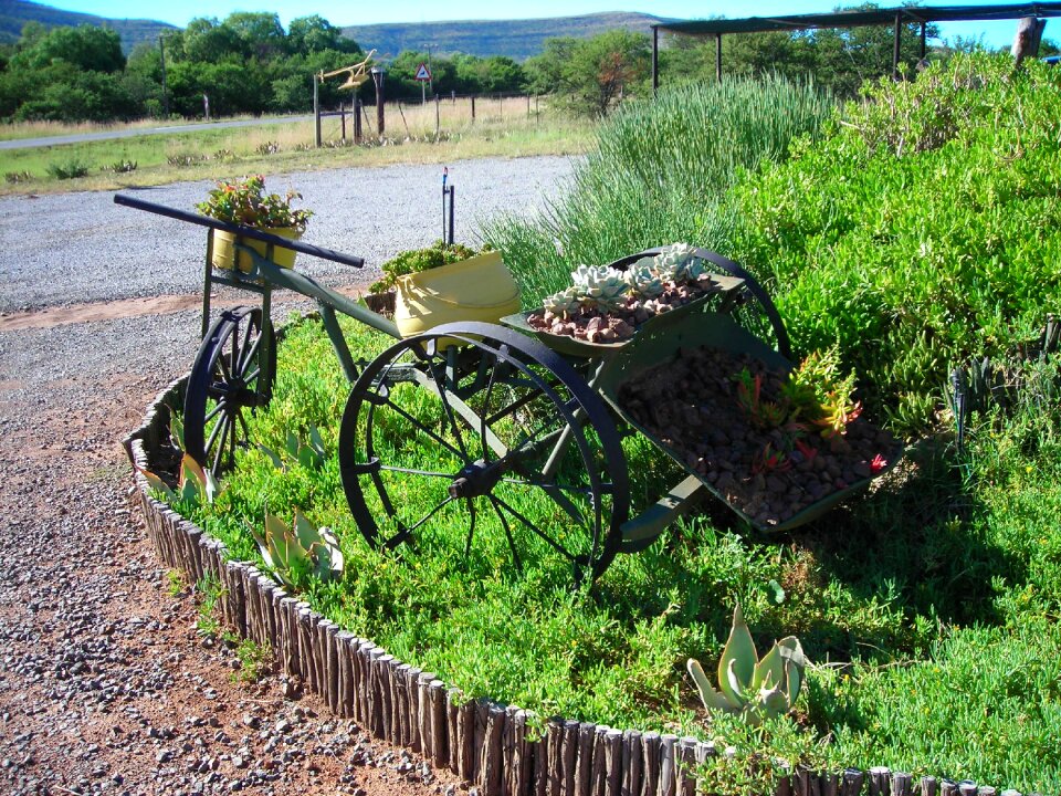 Transportation green bike