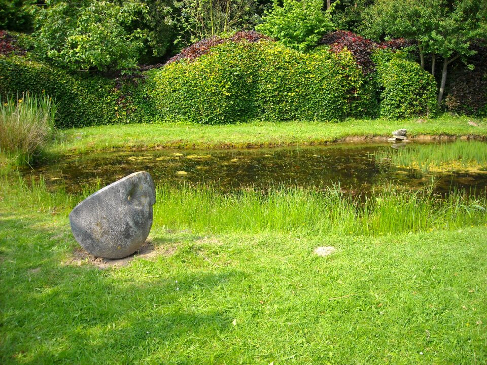 Nature grass pond