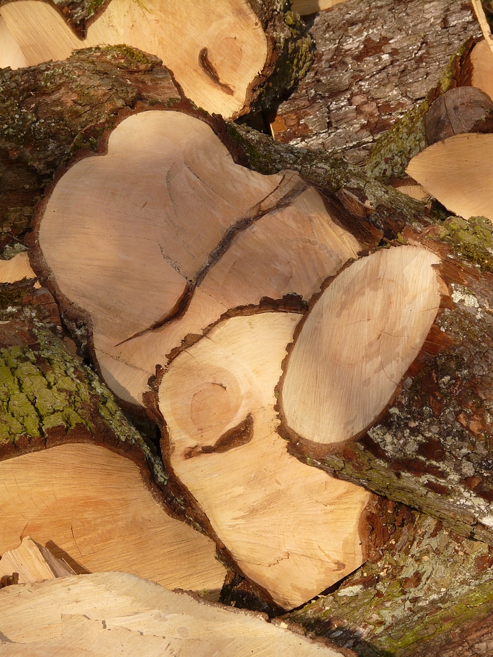 Woodworks holzstapel tree