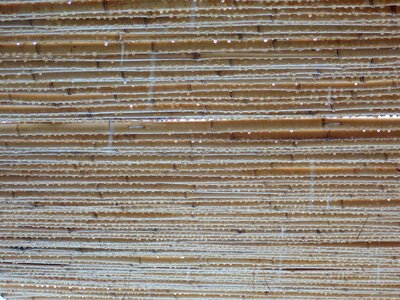 Drops oriental meditation