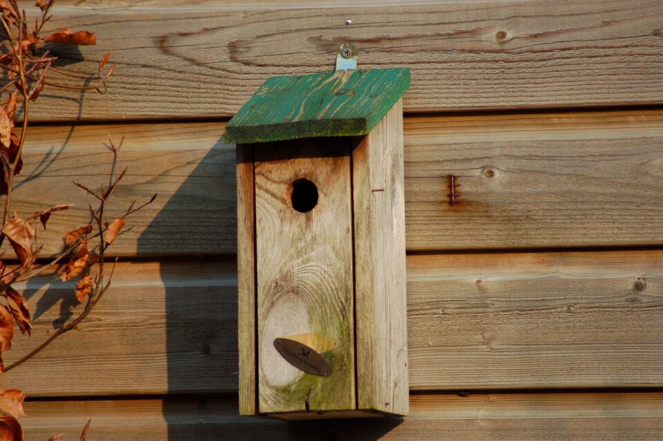 Wood garden muhe