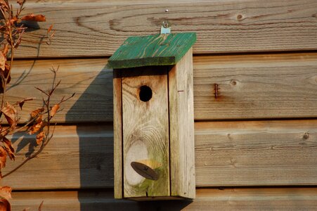 Wood garden muhe