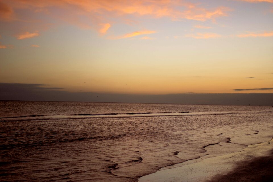 Summer beach sunny sun photo