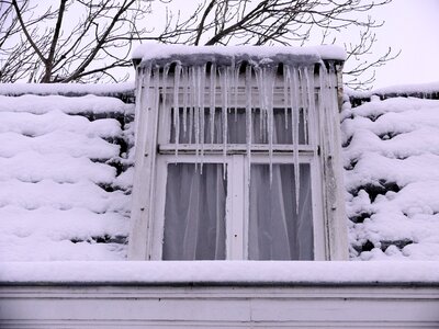 Freezing frozen white