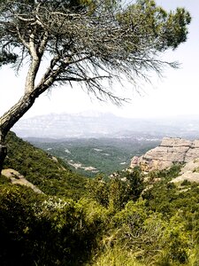 Mountain hiking nature