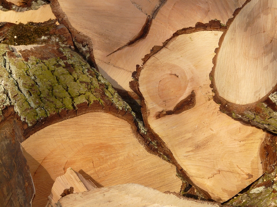 Woodworks holzstapel tree