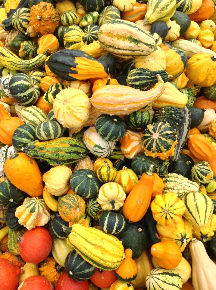 Gourd colorful decoration