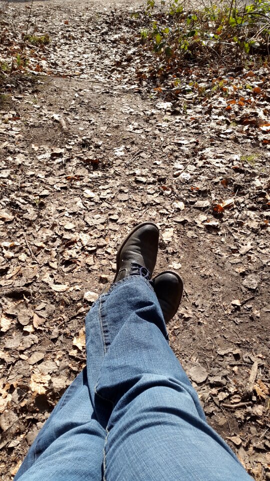 Legs autumn ground