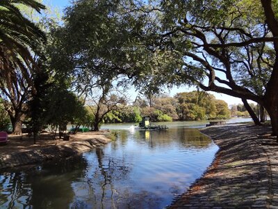 Trees groves of palermo buenos aires photo