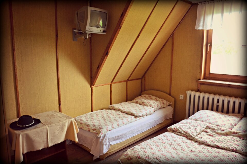Accommodation house bukovina