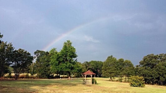 Over trees blue rainbow