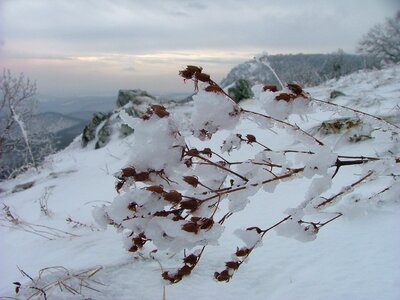 Beech mountain plateau nature