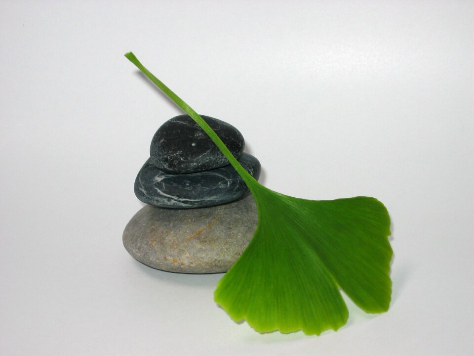 Pebble gingko zen