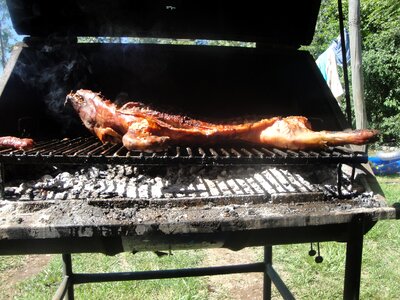 Meat cook weekend