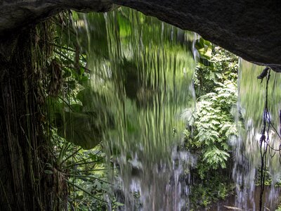 Water paradise reflection
