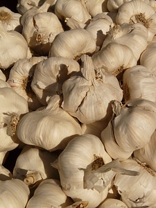 Tuber substantial smell