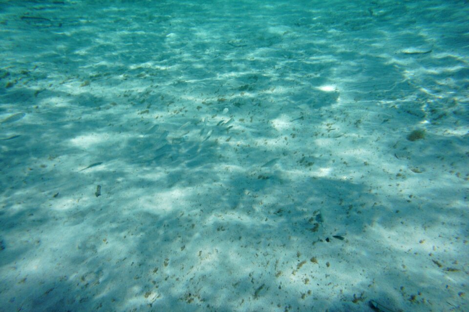 Sea underwater sand
