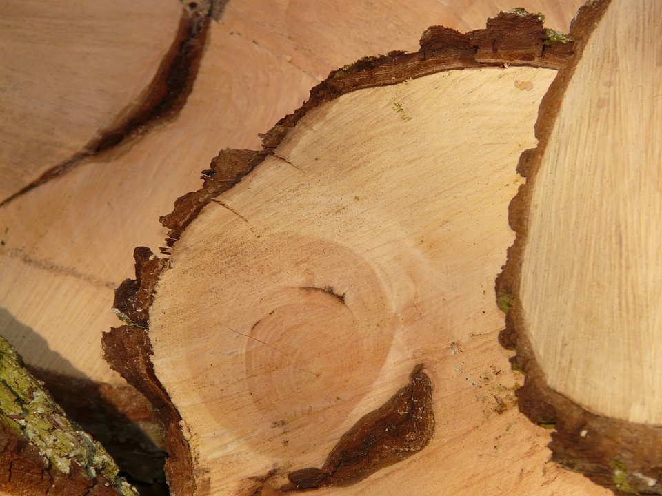 Woodworks holzstapel tree