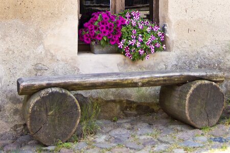 Flowers bench idyllic