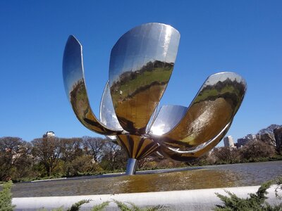 Floralis generica buenos aires palermo photo