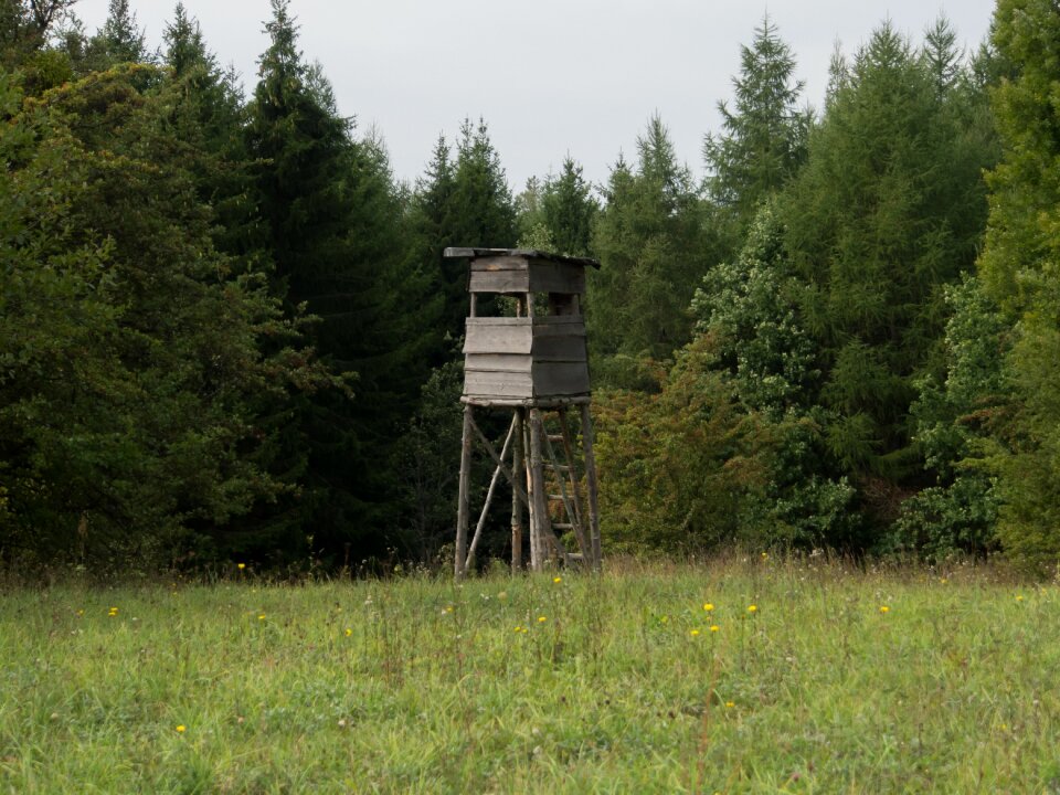 Meadow wooden lookout