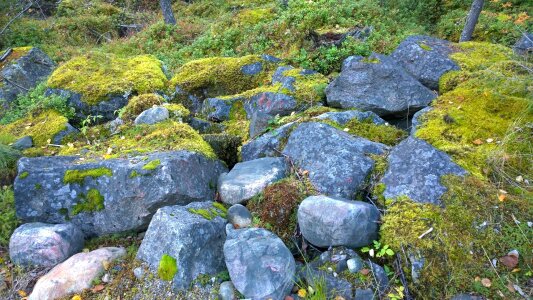 Nature photo stone moss photo