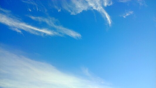 Nature blue summer