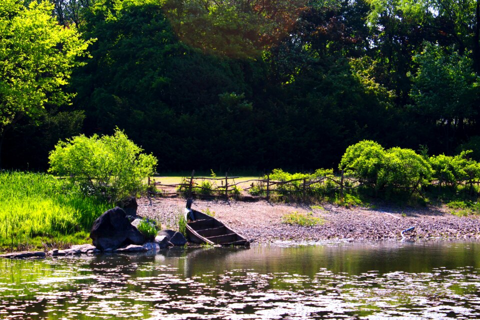 Forest ferry boat pool