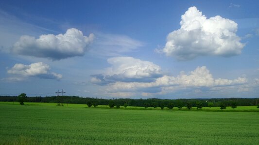 Meadow forest park