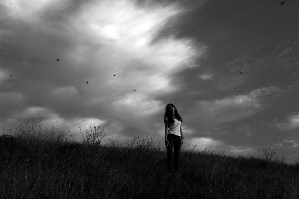 Birds sky autumn