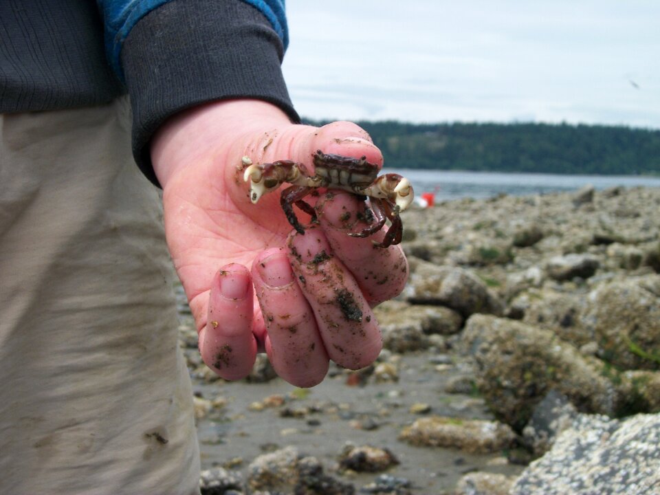 Nature marine aquatic